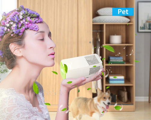 Oczyszczacz powietrza do toalety, kuchni, idealny do usuwania alergenów, pyłku i zapachów.