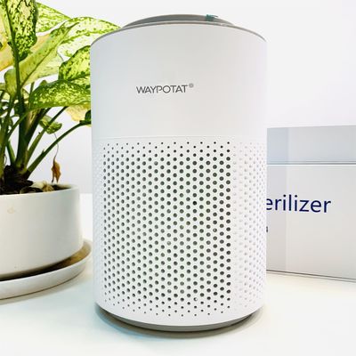 Oczyszczacz powietrza z białymi jonami oczyszczacz powietrza plazmowy oczyszczacz powietrza jonizator plazmowy 55Db