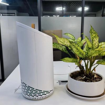 220V HEPA filtr zapachu zwierząt domowych z zimnym filtrem węgla aktywowanego plazmowym i prywatną pleśń