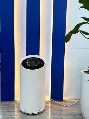 Wszystkie w jednym biały oczyszczacz powietrza HEPA z kontrolą dotykową