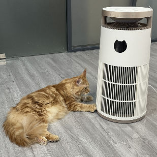 Oczyszczacz powietrza VDETTE HP01 Ozone HEPA z timerem 220V Biały