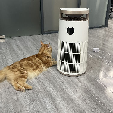 ABS Plasma Air Purifier for Pets 480 m³/h CADR PM2.5